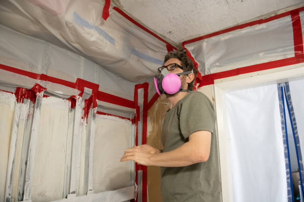 Trusted Oakland, FL Mold Removal Experts