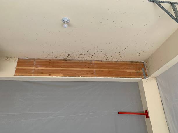 Best Crawl Space Mold Remediation  in Oakland, FL